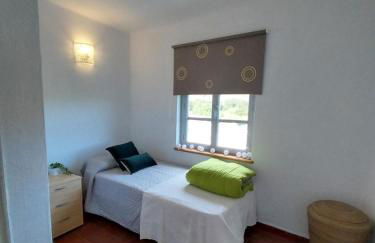 Ave Ibis eremita Vejer - Foto 6