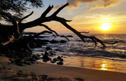 Ferns & Frogs Forest Hale 3 Bedroom Home by RedAwning - Foto 36