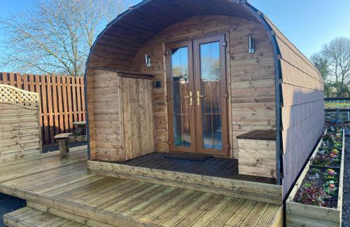 Bryn Glamping - Foto 5