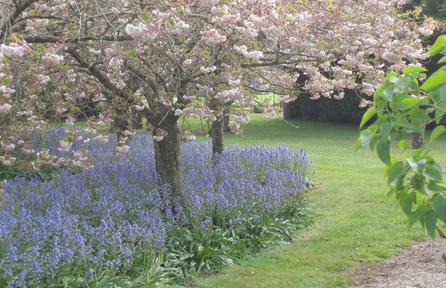 Boat Harbour Garden Cottages - Foto 32