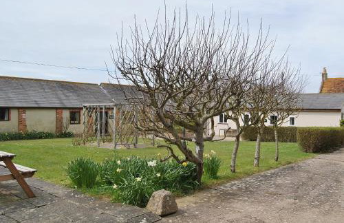 Appletree - 28555 - Photo 11