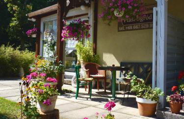 Ptasi Ogród - Foto 8