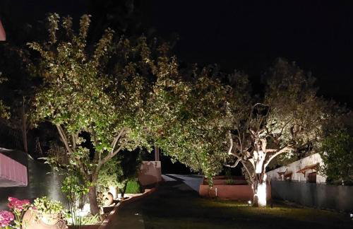 Olea Holiday Estate - Foto 36