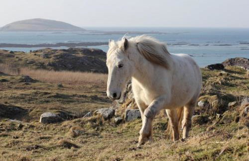 Eriskay Views Cottage - Foto 21