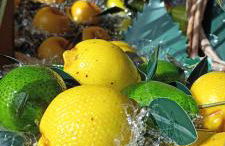 La Casetta di Isola - Foto 27