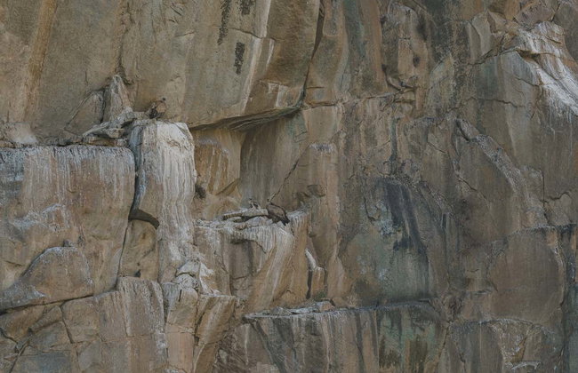 Paseo en barco por el Parque Natural del Duero Internacional - Foto 14
