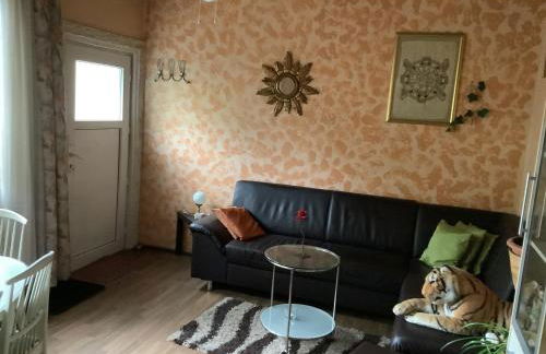 Separate schöne Ferienwohnung inclusive Parkplatz - Foto 25