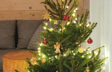 Apartament Antałówka z ogródkiem - Foto 18