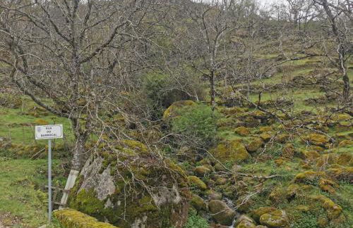 Casa Olho da Lebre Barrocal - Foto 10