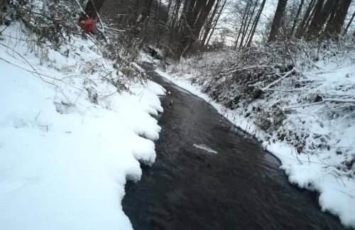 Wielgosówka - Foto 29