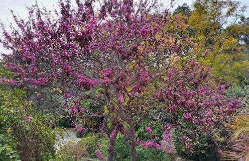 Casa de las Vistas - Photo 66