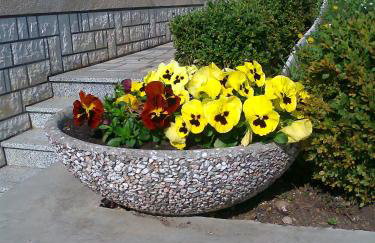 Ika Blue Studio - Photo 48