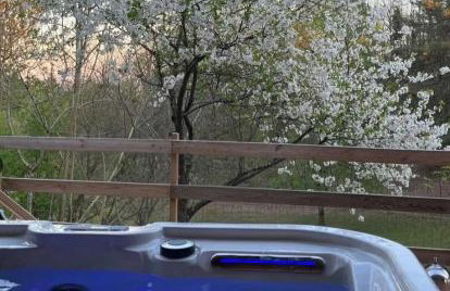 LOU PITCHOUN - Jacuzzi SPA Privé - Vignes - Proche ALBI et CORDES - Photo 1