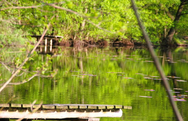 Bungalow in Kolczewo With Parking Space - Photo 79