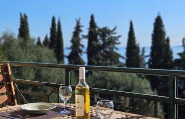 Ionelia Seaview Apartment at Barbati - Foto 6