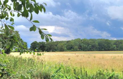 Badgers Rest Loddon - Foto 19