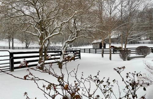 Full Circle Farm Inn - Foto 27