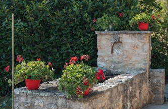 Country House Il Vecchio Ippocastano - Foto 41