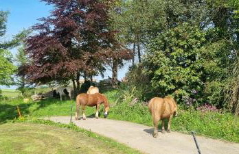 No 4 Trelawney Apartment - Onsite Bar - Restaurant - Horse Riding - Foto 39