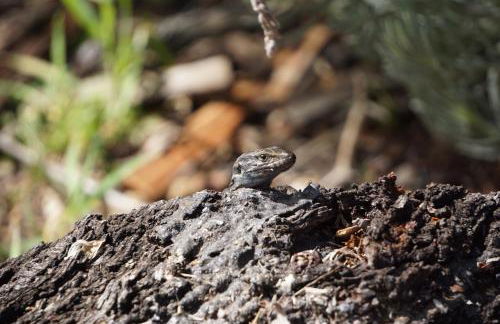 Panorama Suite El Mirador - Foto 37