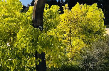 Luxury Home & Pool - Foto 40