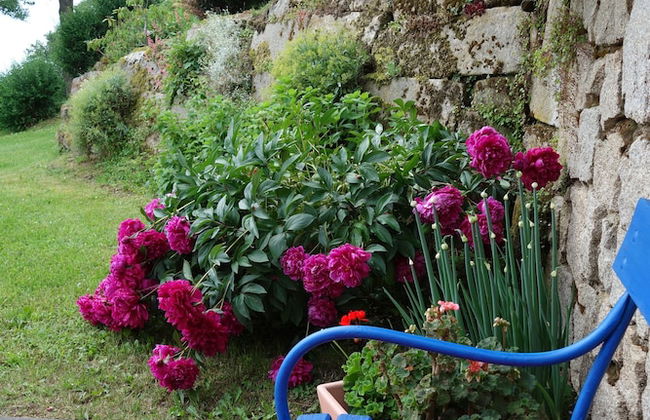 Ferienwohnung Schloss Schönberg - Foto 22