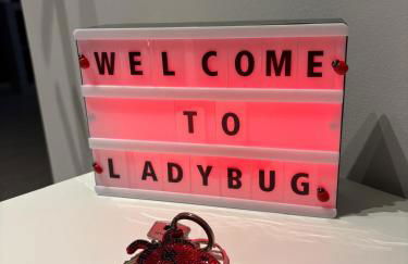 Ladybug - Foto 5