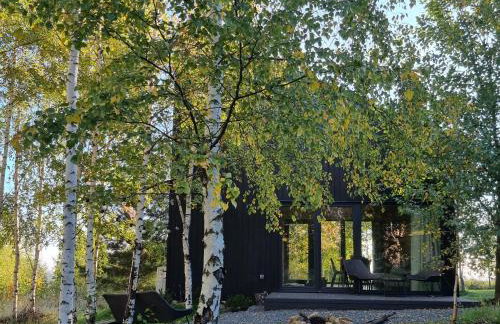 Drewniany dom w brzozowisku - Foto 1