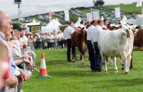 Pheasant Lodge Scottish Borders - Foto 45