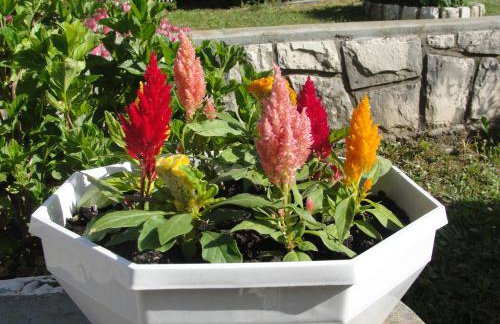 Apartment Karmel - Photo 29