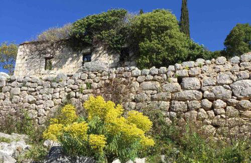 Apartman ELLA - Foto 32