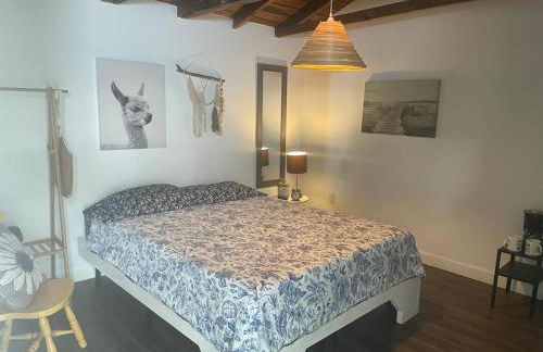 Private Studio Cabin steps from Calle 8 - Foto 67