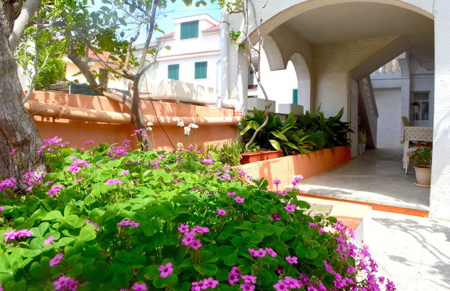 One Bedroom Apartment Venilia Ground - Foto 14