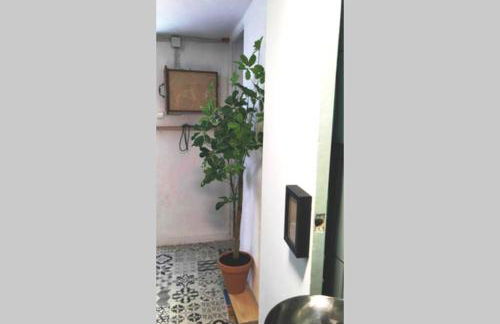 La musa del Poeta - Foto 9