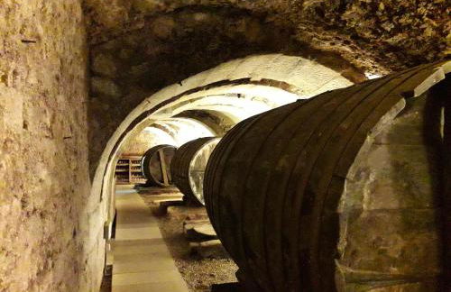 Apartamento Gaztainondoak(II)A 10min de Laguardia - Foto 43