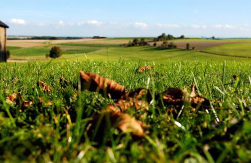 Ferienwohnungen Eifelblick - Foto 9