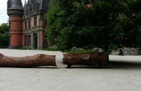 Gîte Ti-Gwennel - Photo 45