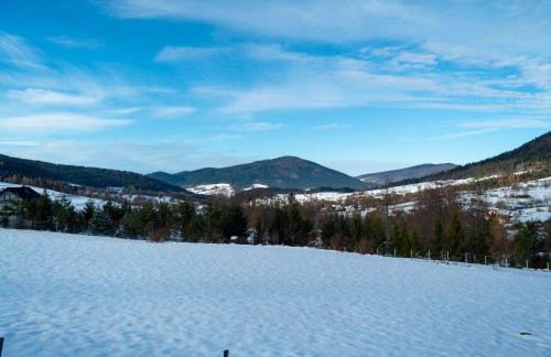 Widokowe Stodoły balia z hydromasażem na wylączność - Foto 31