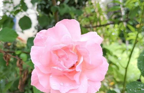 Maison de charme à Brantôme en Périgord avec piscine partagée - Foto 42