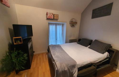 F1 Meublé et Confortable en cœur de ville - Foto 2