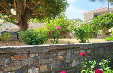 Alexia's resorts - Photo 29