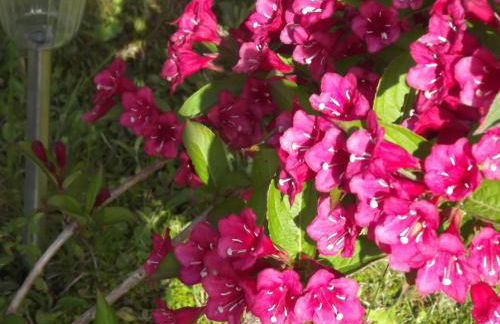 Appart'hotel Maison Saint Michel - Photo 66