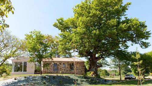 Casa das Landras - Foto 2, Garden