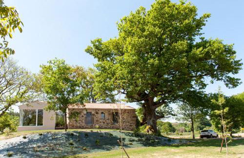 Casa das Landras - Foto 2