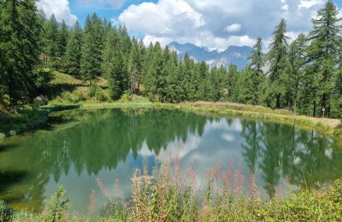 PUY SAINT VINCENT APPARTEMENT T2 BALCON SUPER PANORAMA AVEC PARKING PRIVE COUVERT et PISCINE L'ETE - Foto 47