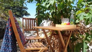 Olive -Casa da Boavista - Foto 4