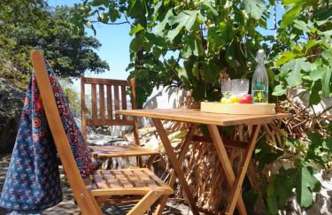 Olive -Casa da Boavista - Foto 4