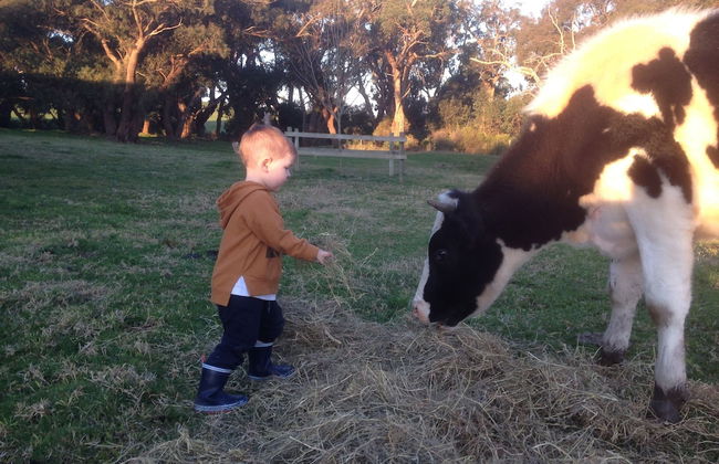 Prom Coast Holiday Lodge - Foto 59