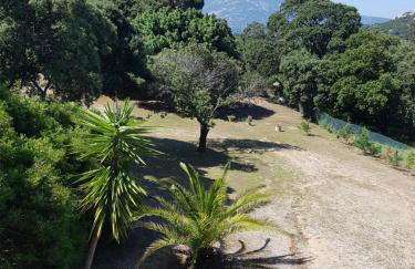 Casa Prescilia - Foto 29