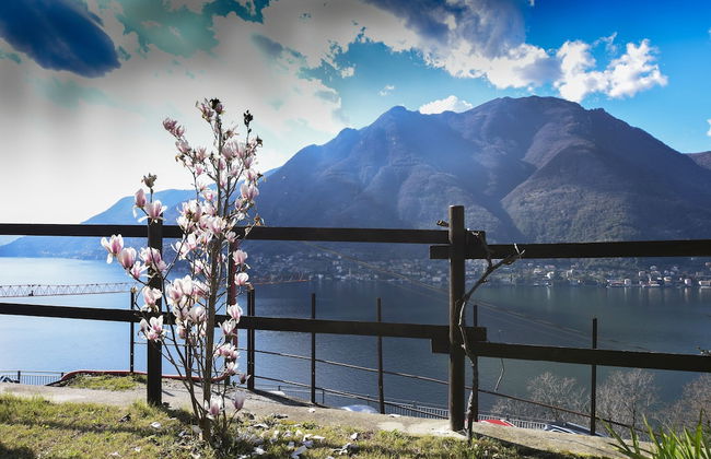 Ca'del Fico - Foto 41